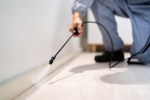 Rodent Entry Point Assessment in Myrtle Beach