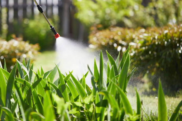 Tamper-Resistant Bait Stations for Rodents in Myrtle Beach