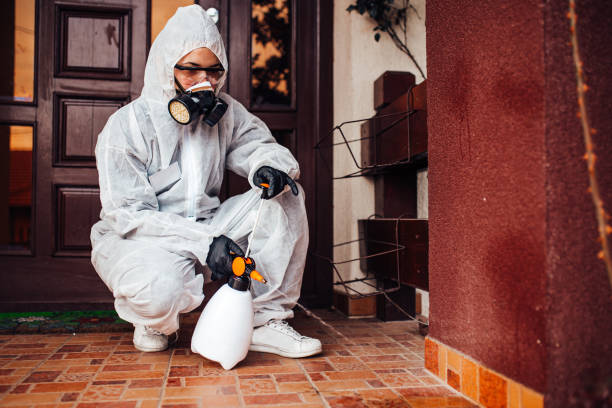 Attic and Crawl Space Rodent Treatment in Myrtle Beach
